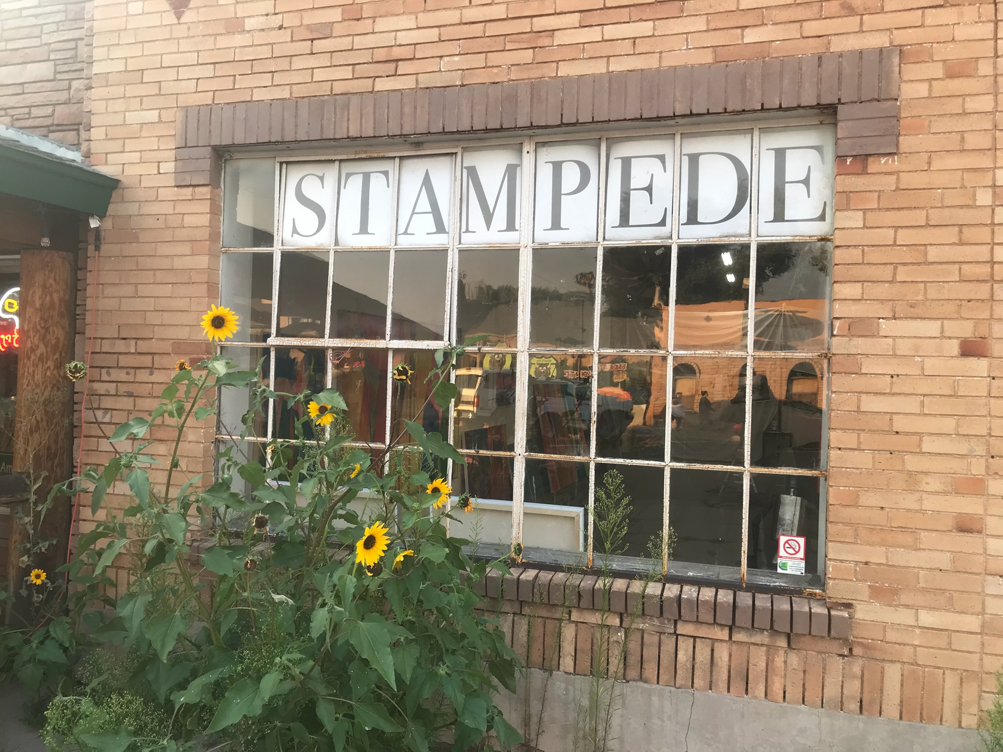 Gathering at Stampede